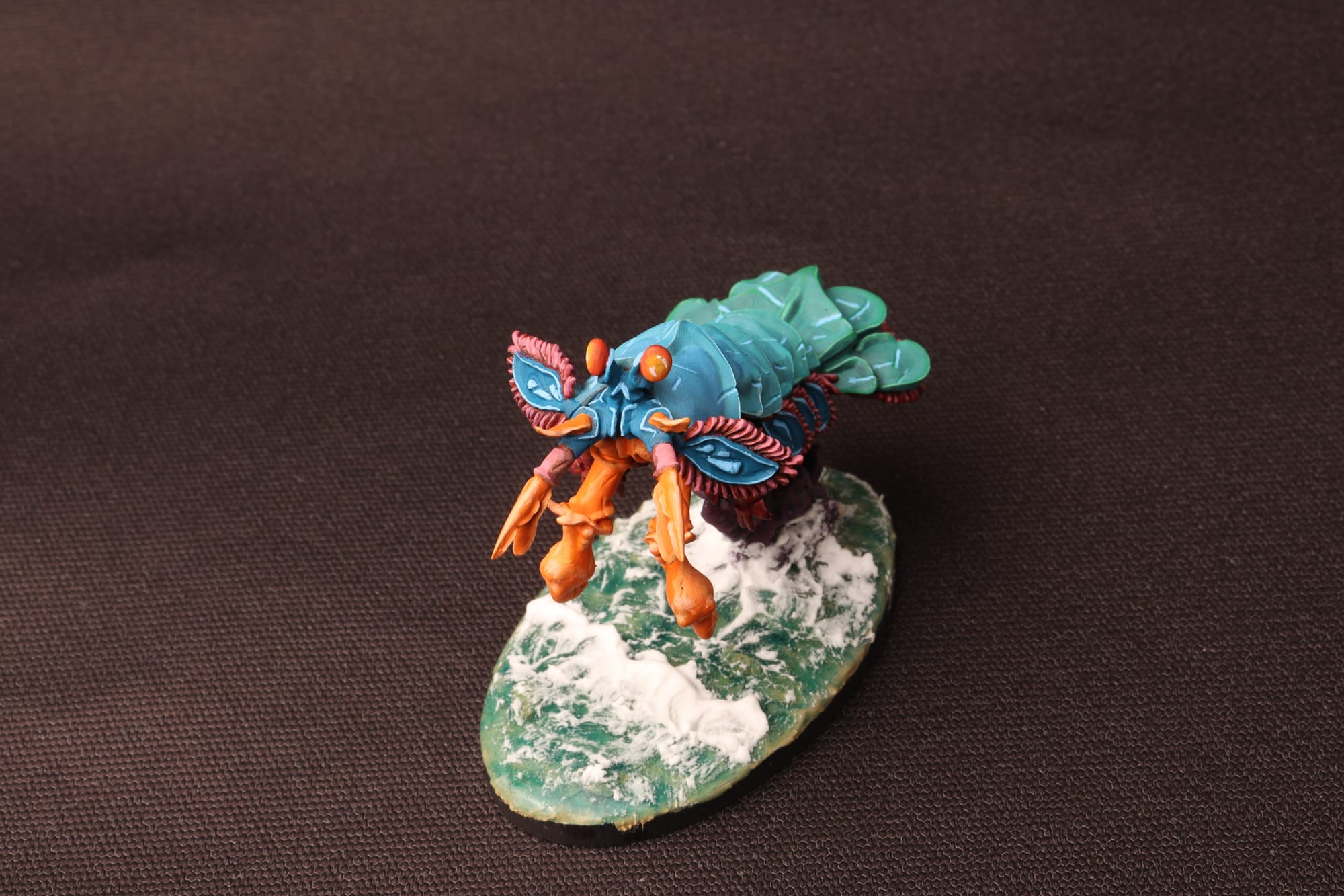 Mantis Shrimp