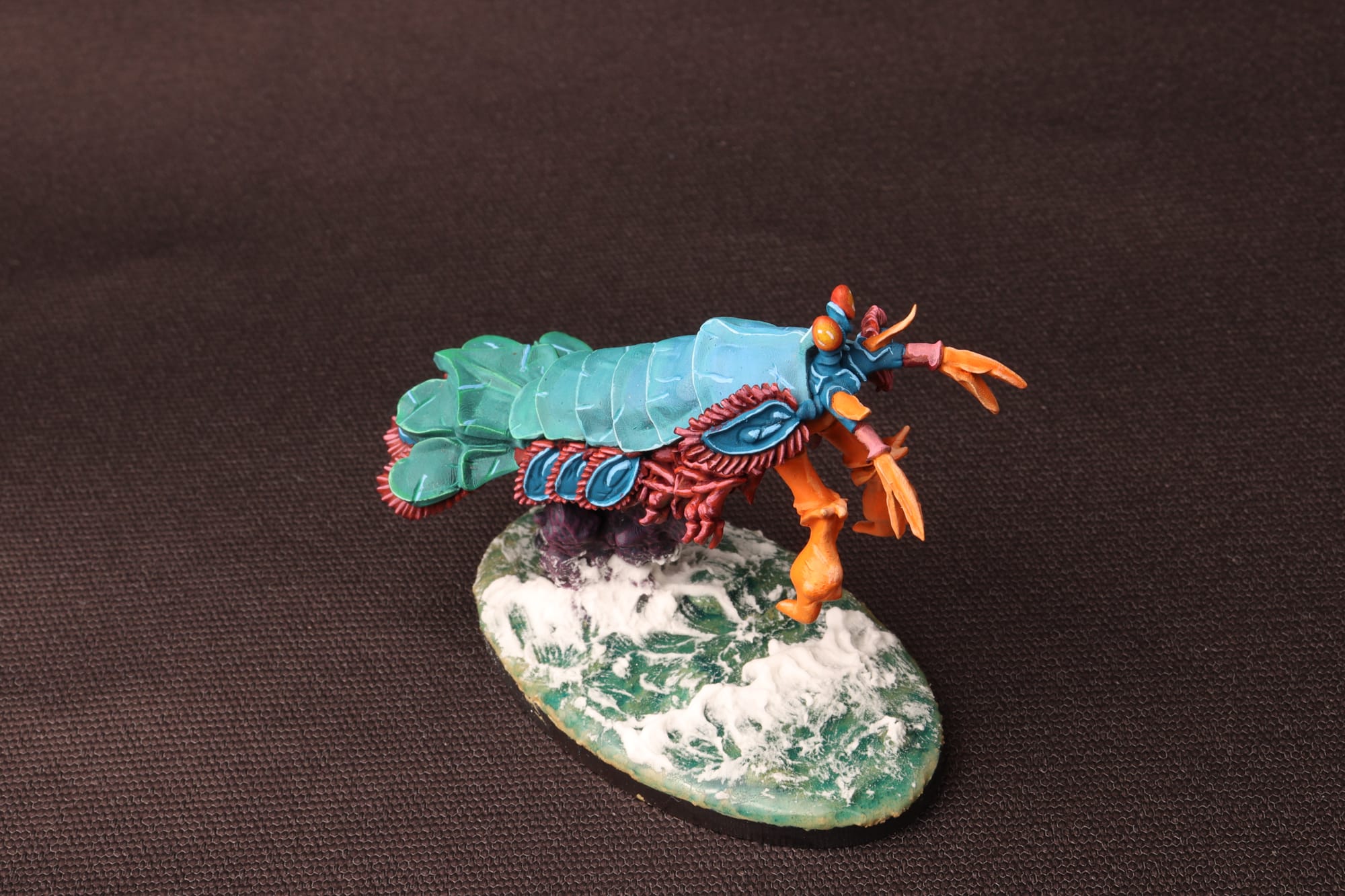 Mantis Shrimp