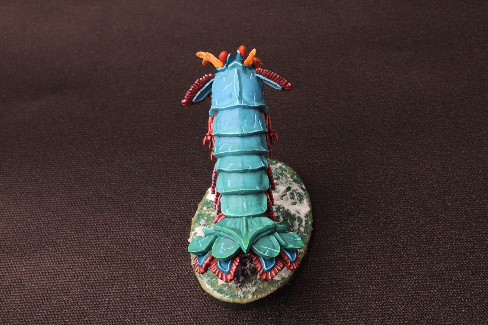 Mantis Shrimp